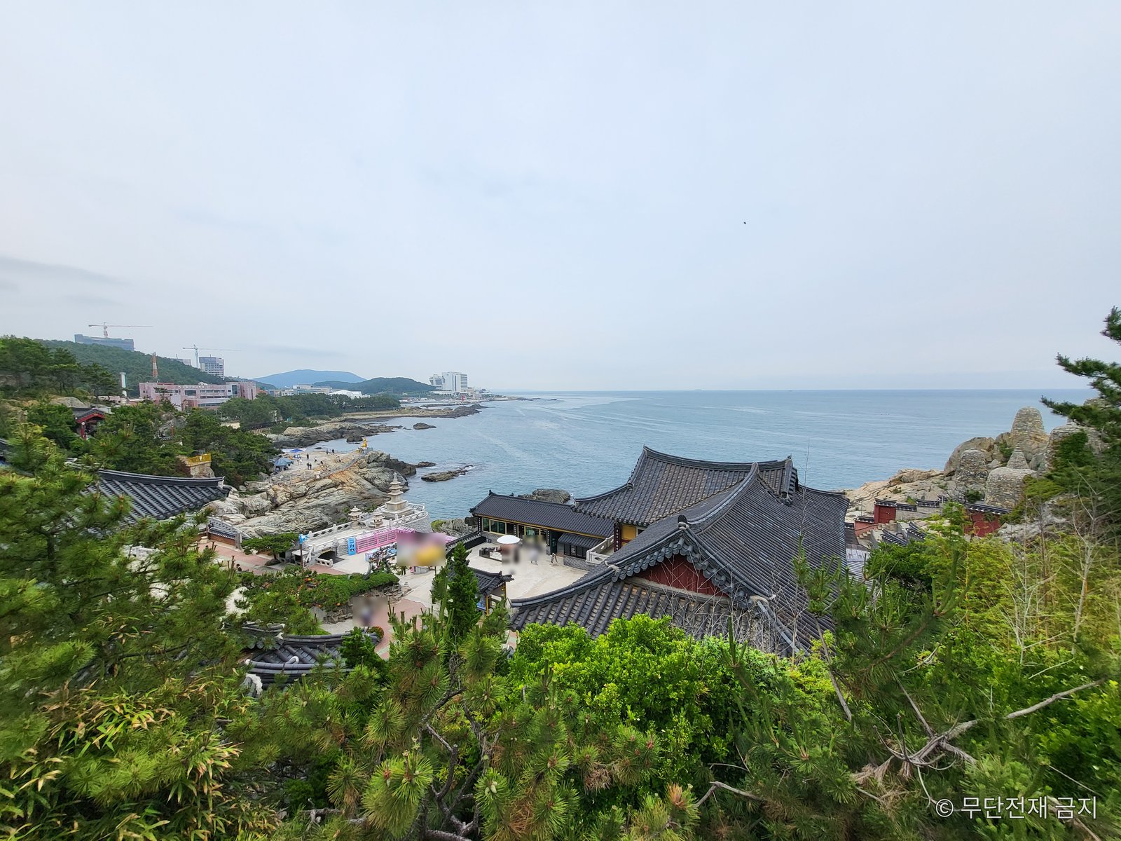 언덕에서 내려다본 해동용궁사 전경과 동해 해안
