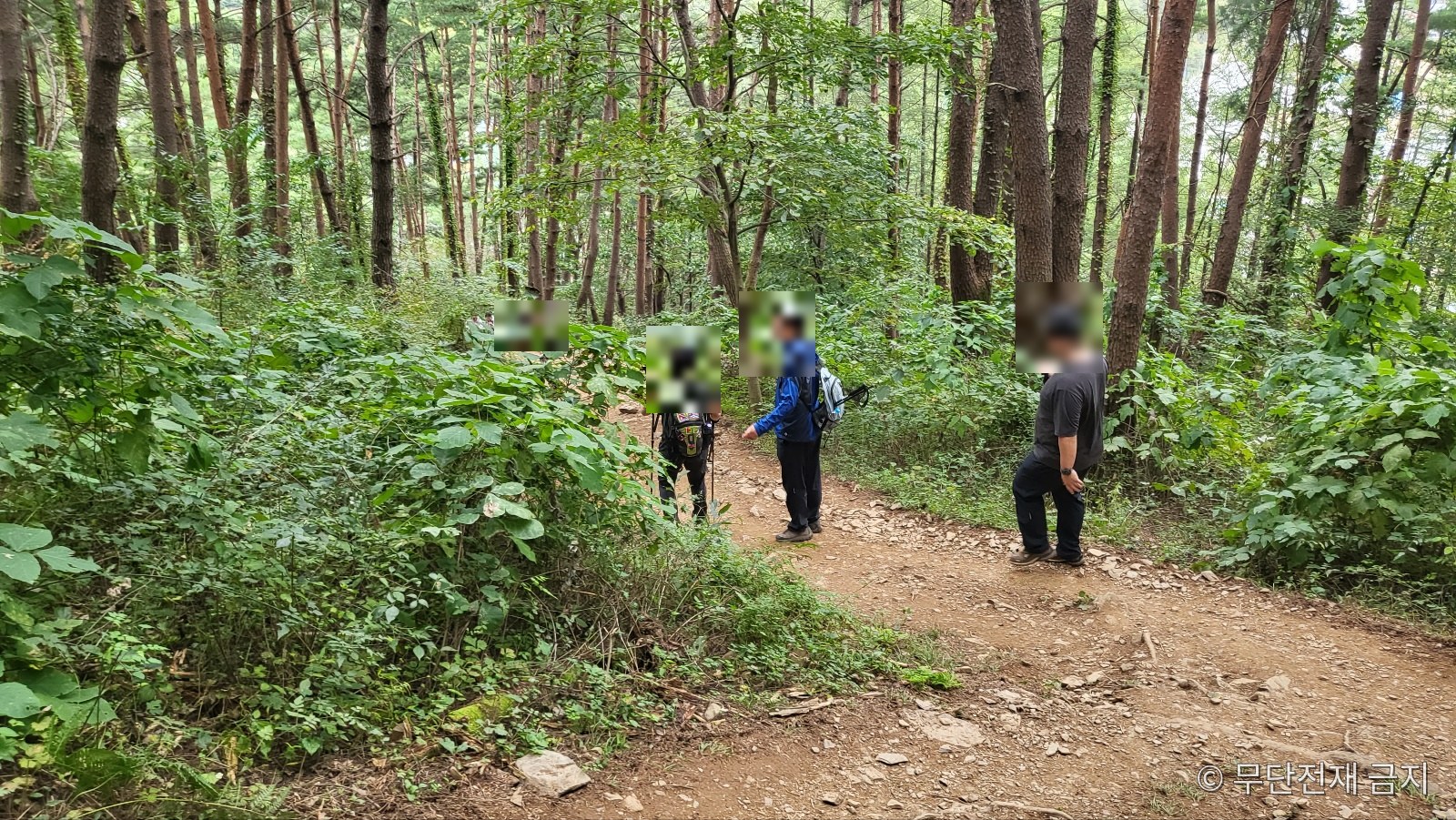 정선 민둥산 증산초교 코스를 오르는 등산객들